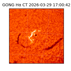 gong - 2026-03-29T17:00:42