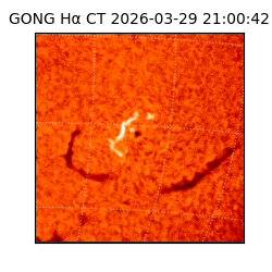 gong - 2026-03-29T21:00:42