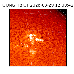 gong - 2026-03-29T12:00:42