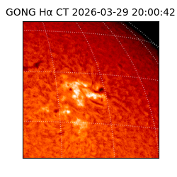 gong - 2026-03-29T20:00:42