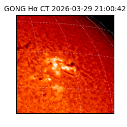 gong - 2026-03-29T21:00:42