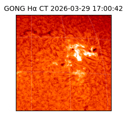 gong - 2026-03-29T17:00:42