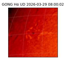 gong - 2026-03-29T08:00:02