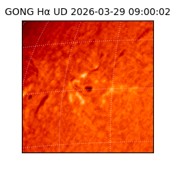 gong - 2026-03-29T09:00:02