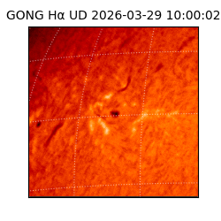 gong - 2026-03-29T10:00:02