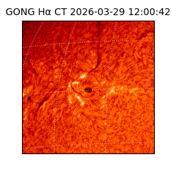 gong - 2026-03-29T12:00:42