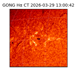 gong - 2026-03-29T13:00:42