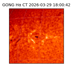 gong - 2026-03-29T18:00:42