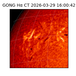 gong - 2026-03-29T16:00:42