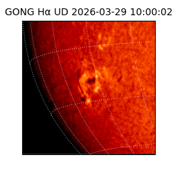 gong - 2026-03-29T10:00:02
