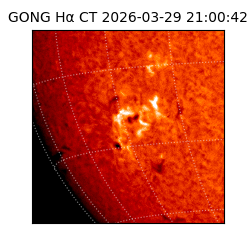 gong - 2026-03-29T21:00:42