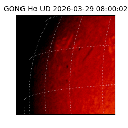 gong - 2026-03-29T08:00:02