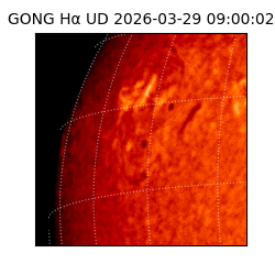 gong - 2026-03-29T09:00:02