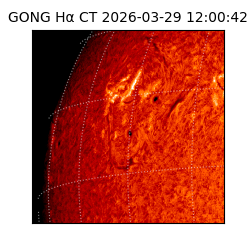 gong - 2026-03-29T12:00:42