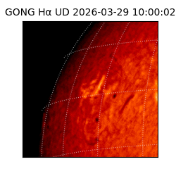 gong - 2026-03-29T10:00:02