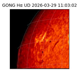 gong - 2026-03-29T11:03:02