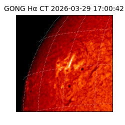 gong - 2026-03-29T17:00:42