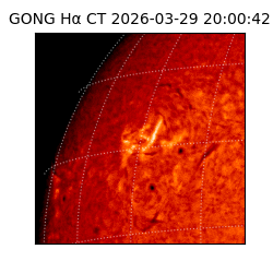 gong - 2026-03-29T20:00:42