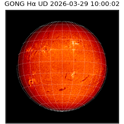gong - 2026-03-29T10:00:02