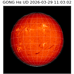 gong - 2026-03-29T11:03:02