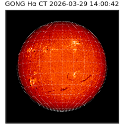 gong - 2026-03-29T14:00:42