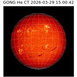 gong - 2026-03-29T15:00:42