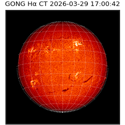 gong - 2026-03-29T17:00:42