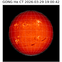 gong - 2026-03-29T19:00:42
