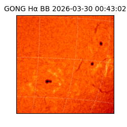 gong - 2026-03-30T00:43:02