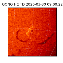 gong - 2026-03-30T09:00:22