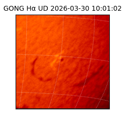 gong - 2026-03-30T10:01:02