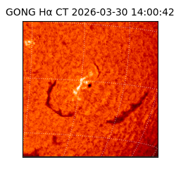 gong - 2026-03-30T14:00:42