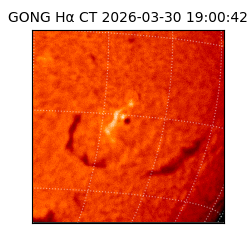 gong - 2026-03-30T19:00:42