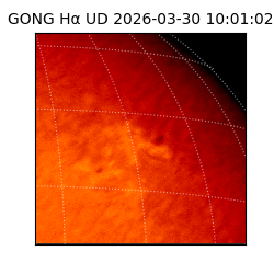 gong - 2026-03-30T10:01:02