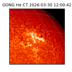 gong - 2026-03-30T12:00:42