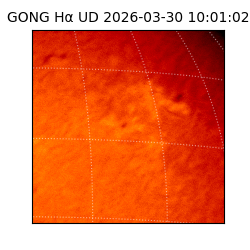 gong - 2026-03-30T10:01:02