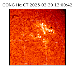 gong - 2026-03-30T13:00:42