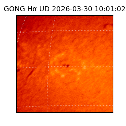gong - 2026-03-30T10:01:02