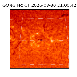 gong - 2026-03-30T21:00:42