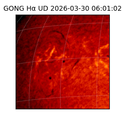 gong - 2026-03-30T06:01:02