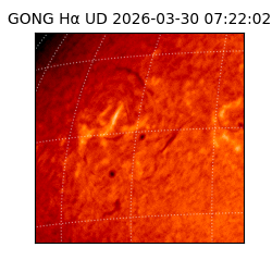 gong - 2026-03-30T07:22:02