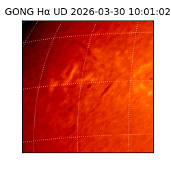 gong - 2026-03-30T10:01:02