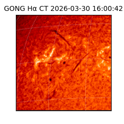 gong - 2026-03-30T16:00:42