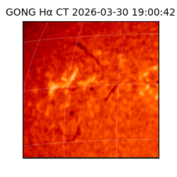 gong - 2026-03-30T19:00:42