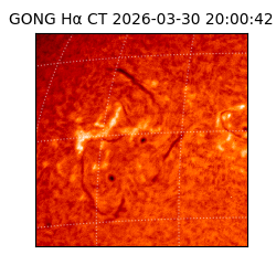 gong - 2026-03-30T20:00:42
