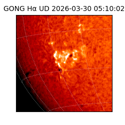 gong - 2026-03-30T05:10:02