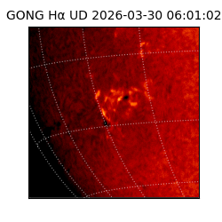 gong - 2026-03-30T06:01:02