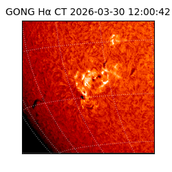 gong - 2026-03-30T12:00:42