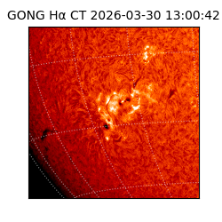 gong - 2026-03-30T13:00:42