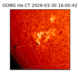 gong - 2026-03-30T16:00:42